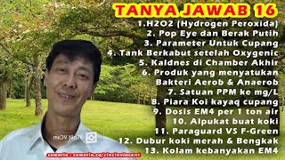 Tanya Jawab 16 [upl. by Anitneuq]