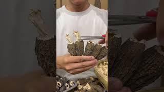 Easy Trimming Make Dried Morels More Flavorful morelmushrooms morelmushroom [upl. by Harneen]