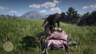 Red Dead Redemption 2 Ziegenfell Location goatskin [upl. by Gurney]