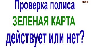 Как проверить действует ваш полис страхования Зеленая карта или нет [upl. by Bever]