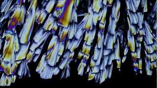 Timelapse of Crystals Growing [upl. by Herrington]