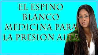 El espino Blanco Medicina para la Presion Alta [upl. by Relyhcs]