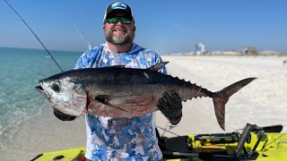 First ever Blackfin Tuna by Mark Crownover  Navarre Beach 3422 [upl. by Yentyrb]