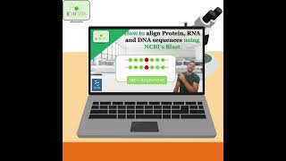 Sequence Alignment NCBIs BLAST protein RNA DNA alignment align blast bioinformatics [upl. by Eoz255]