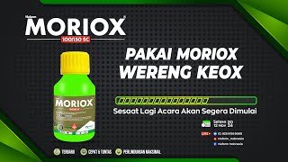 Virtual Launching MORIOX 100150 SC [upl. by Eimmelc]