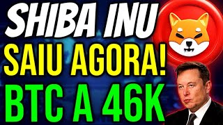 🚨URGENTE  SHIBA INU AGORA [upl. by Sanger908]