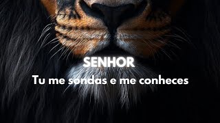 SENHOR TU ME SONDAS E ME CONHECES 🧠💭💪🙏 [upl. by Fang]