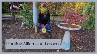 “Planting Alliums amp Crocus for a Beautiful Spring Bloom [upl. by Liederman]