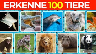 100 Tiere in 3 Sekunden Die UNMÖGLICHE Challenge🤯🐸 [upl. by Rephotsirhc337]