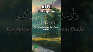 Surah Al Fil surahalfil quran divineintervention islamicshorts recitation shorts [upl. by Ahsert]