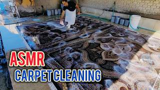 Relaxing carpet cleaning  Satisfying carpet cleaning ASMR [upl. by Burch]