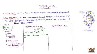 Cytoplasm [upl. by Introk]