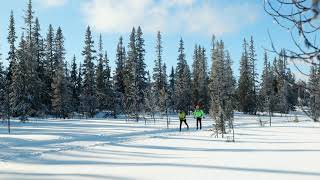 Längdskidåkning längs Lillåslingan [upl. by Attela]