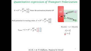 ConcentrationTransportPolarizationOverpotential [upl. by Esekram]