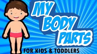 Body Parts for Beginners Learning  Name Of Human Body Parts [upl. by Hessler]