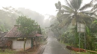 Walk in Heavy Rain and Thunderstorms in Rural Indonesia  ASMR Nature Sounds for Sleep [upl. by Ahsenrad90]