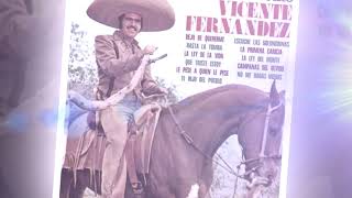 Volver Volver  Vicente Fernandez [upl. by Anovahs335]