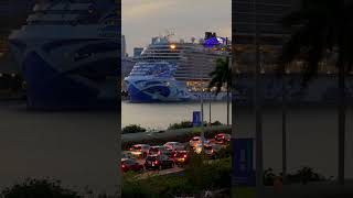 cruises cruiselife cruiseships [upl. by Oivatco]