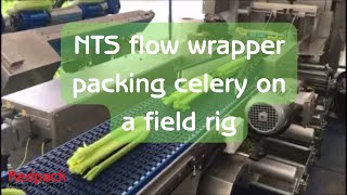 Redpack NTS flow wrapper packing celery on a field rig [upl. by Cami21]