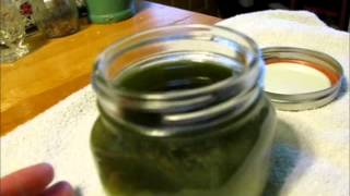 Chickweed Plantain and Comfrey Salve pt 2 [upl. by Sean395]