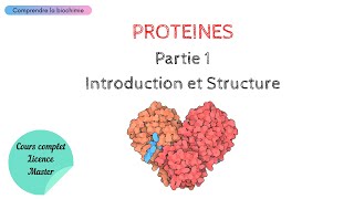 PROTÉINES  INTRODUCTION ET STRUCTURE  Biochimie Facile [upl. by Kelleher]