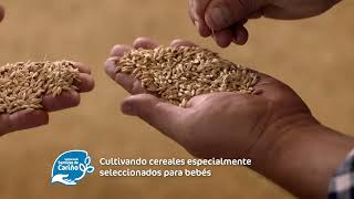 NESTLÉ 0 0  Desde el origen nuestros mejores cereales infantiles [upl. by Otrebire]