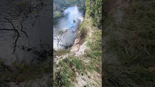 Scary Sand Erosion Hurricane Milton on Econlockhatchee at Barr Street Little Big Econ State Forest [upl. by Nirahs]