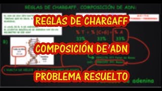 EJERCICIO DE APLICACIÓN DE LAS REGLAS DE CHARGAFF Avanzado Biología Ácidos Nucleicos [upl. by Notgnihsaw]