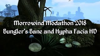 Morrowind Modathon 2018  Bunglers Bane and Hypha Facia HD [upl. by Liagibba]