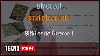 YGSLYS BİYOLOJİ  Bitkilerde Üreme 1 [upl. by Aneetsirk]