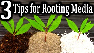 The BEST Medium for Rooting your Cuttings  3 Criteria for Successful Plant Propagation [upl. by Elleniad]