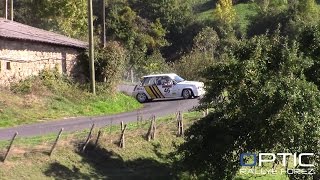 Rallye des Monts dôme 2016 Mistakes Attack by ORF [upl. by Airal]