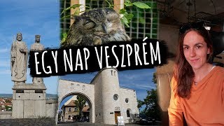 1 NAP VESZPRÉMBEN  városnézés állatkert  vlog [upl. by Aeila537]