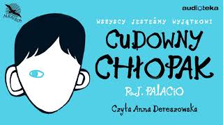 quotCudowny chłopakquot  audiobook [upl. by Enrobialc]