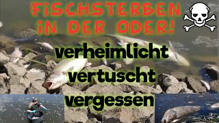 Fischsterben in der Oder verheimlichtvertuscht vergessen [upl. by Lletnahc]