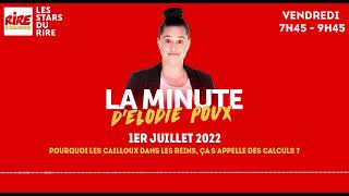 La minute dElodie Poux  Pourquoi les cailloux dans les reins sappellent des calculs  010722 [upl. by Stefa]