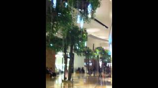 Meteor Lights Mall DekraLight Canada [upl. by Prima]