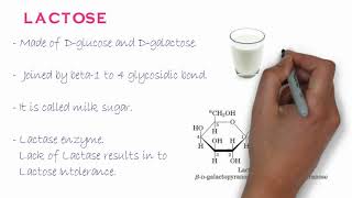 Biochemistry of Oligosaccharides [upl. by Musihc997]