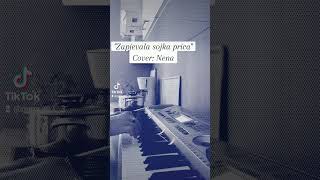 quotZapjevala sojka pticaquot  Cover Nena MI [upl. by Sucramd]