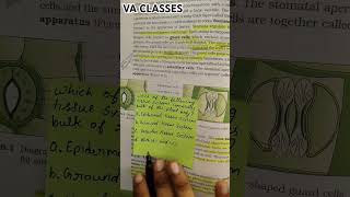 Anatomy of Flowering plants Mcq neet neetexam neet2025 biology mcq pyq mbbs shorts aiims [upl. by Gemperle392]