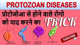 PROTOZOAN DISEASES TRICK IN HINDI  very important for all competitive examinations [upl. by Gipsy]