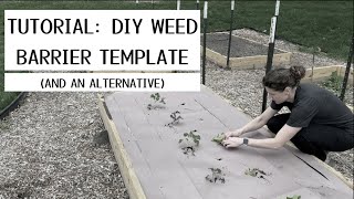 Tutorial DIY Weed Paper Planting Templates paper mulch [upl. by Ecienal]