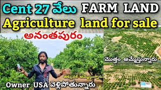 Farm Land 27 Ekara For Sale  panakacherla village Anantapur  Farm land sale [upl. by Maje906]