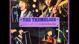 The Tremeloes Every Little Bit Hurts [upl. by Yasibit]