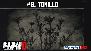 Localización Tomillo  9Compendio Plantas  Red dead redemption 2 [upl. by Fabiano]