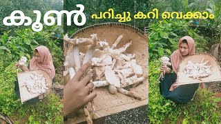 കൂൺ ഇതുപോലെ ചെയ്ത് നോക്കൂ Mushroom Recipe In malayalam കൂൺ കൊണ്ട് ഇങ്ങനെ ഒരു സംഭവം 😲 Jaibus world [upl. by Colwin]