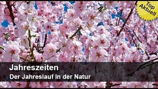 Jahreszeiten – Der Jahreslauf in der Natur  MedienLB Trailer [upl. by Marentic609]