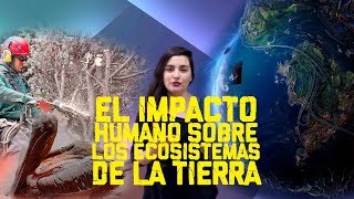 El impacto humano sobre los ecosistemas de la Tierra  YOUTUBER CPECH BIOLOGÍA [upl. by Lashar]