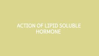 Action of lipid soluble hormone [upl. by Ahsote]