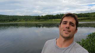 Snorkeling a clear Vermont Pond with Northern Pike Bluegill Bass Yellow Perch and other fish [upl. by Ettelegna715]